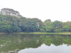 -东莞植物园