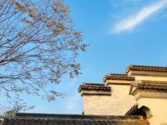 -东山雕花楼