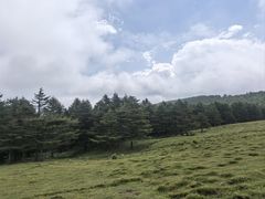 -芦芽山旅游度假区