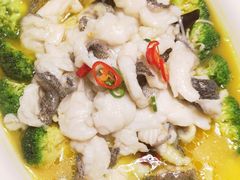 -新悦·霞浦海鲜生(上下杭店)