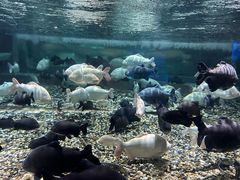 -成都浩海立方海洋公园