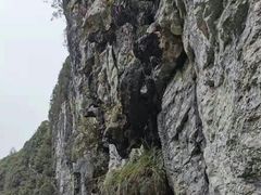 -狮子关旅游区