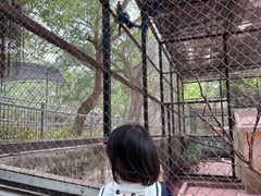 -广东茂名森林公园