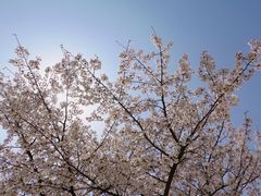 -龙美术馆(西岸馆)