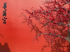 -华清宫景区