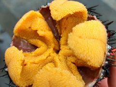 旅顺口黄金海胆-丁字口海鲜热炒·烧烤大排档