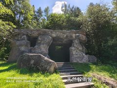 -汤旺河林海奇石景区