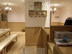 -猫猫幼稚园·撸猫·桌游·电玩
