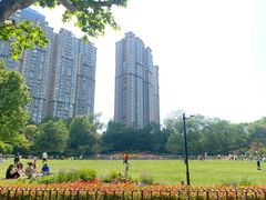 -中山公园