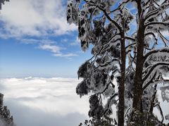 -瓦屋山景区