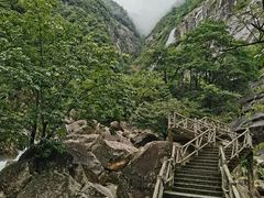 -大鄣山卧龙谷景区