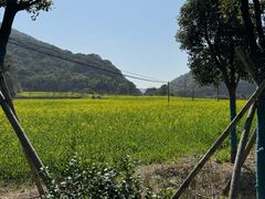 -北仑森林植物园