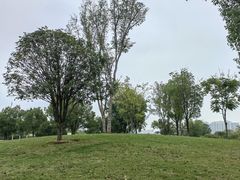 -盘龙城国家考古遗址公园