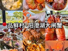 -品鲜村农家菜·阳澄湖大闸蟹(总店)