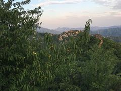 -大岭沟猕猴桃谷风景区