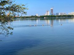 -海珠湖公园