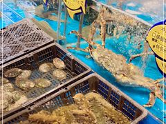 水产区-海铺·渔家虾水饺(皇姑店)
