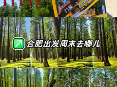 -渌洋湖湿地公园
