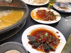 -秦巴石锅鱼(文化南路店)