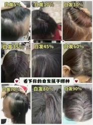 -诗碧曼·头疗养发馆