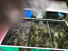 -拉威海鲜市场