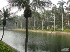 -中山大学学者灵芝(园南路店)
