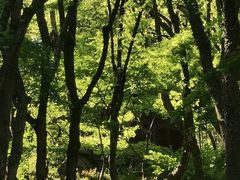 -宁波市保国寺古建筑博物馆