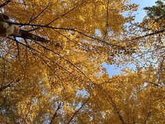 -森林公园(尖草坪区)