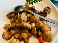 -同庆楼(花园店)