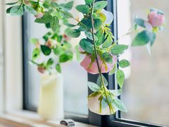 -22ºN BISTRO西餐&酒馆