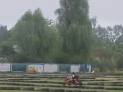 -秀丽东方