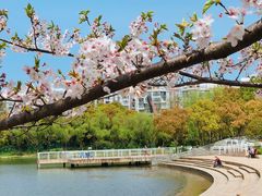 -新江湾城公园