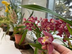 -国家植物园南园