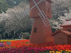 -苏州上方山国家森林公园