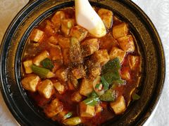 -陈麻婆豆腐总店