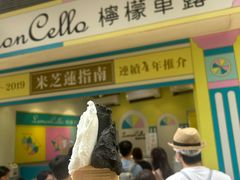 -柠檬车露(卖草地店)