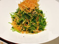 巧拌豆苗-四季民福烤鸭店(故宫店)