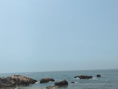-小麦岛公园