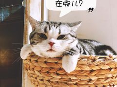 -小时光咖啡馆(开森度假森林店)