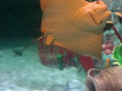 -沈阳海洋探索中心