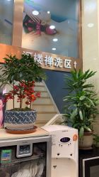 -SOLO Hair Salon