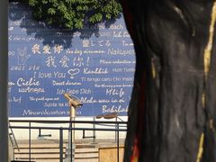 -厦门海港英迪格酒店(中山路店)