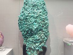 -湖南省地质博物馆