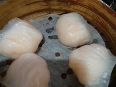 晶莹鲜虾饺-添好运点心专门店(北角店)