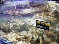 -蟹之国·精品蟹料理(极地店)