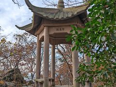 -紫金山山顶公园