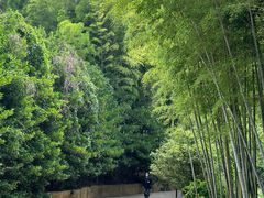 -宝岩生态观光园