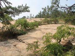 -九龙池景区