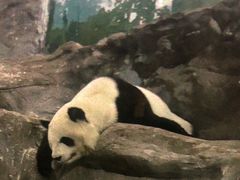 -鄂尔多斯野生动物园