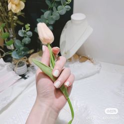 -孔雀手美甲美睫护理